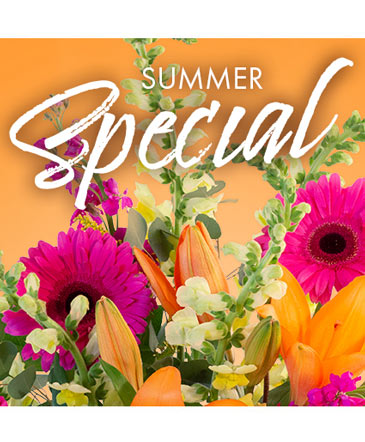 Summer Special Weekly Deal in Rocky Hill, CT | THE ROOT SYSTEM